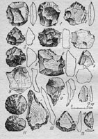 Орудия с открытых стоянок ашельско-мустьерского времени, нажмите чтобы увеличить.